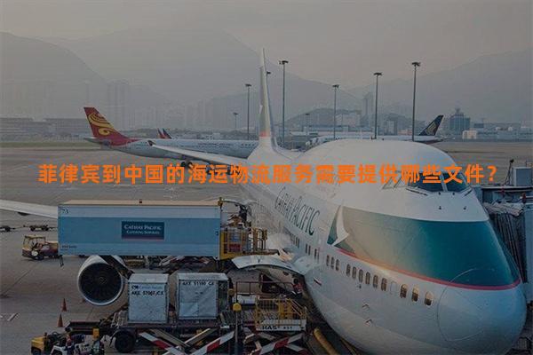 菲律宾到中国的海运物流服务需要提供哪些文件？