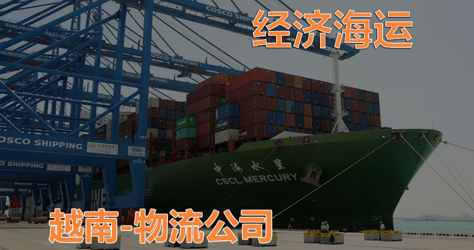 越南经济海运-越南海运物流公司-RKH闪运物流公司.jpg